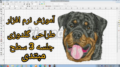 آموزش نرم افزار طراحی گلدوزی کامیوتر با ویپرو 3