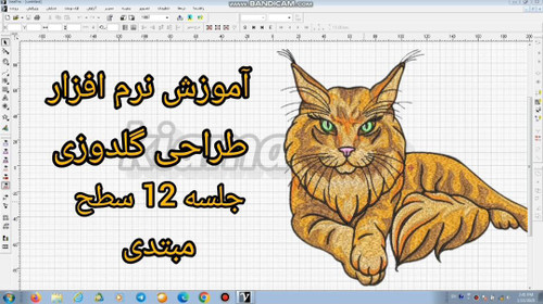 آموزش نرم افزار طراحی گلدوزی کامیوتر با ویپرو 12